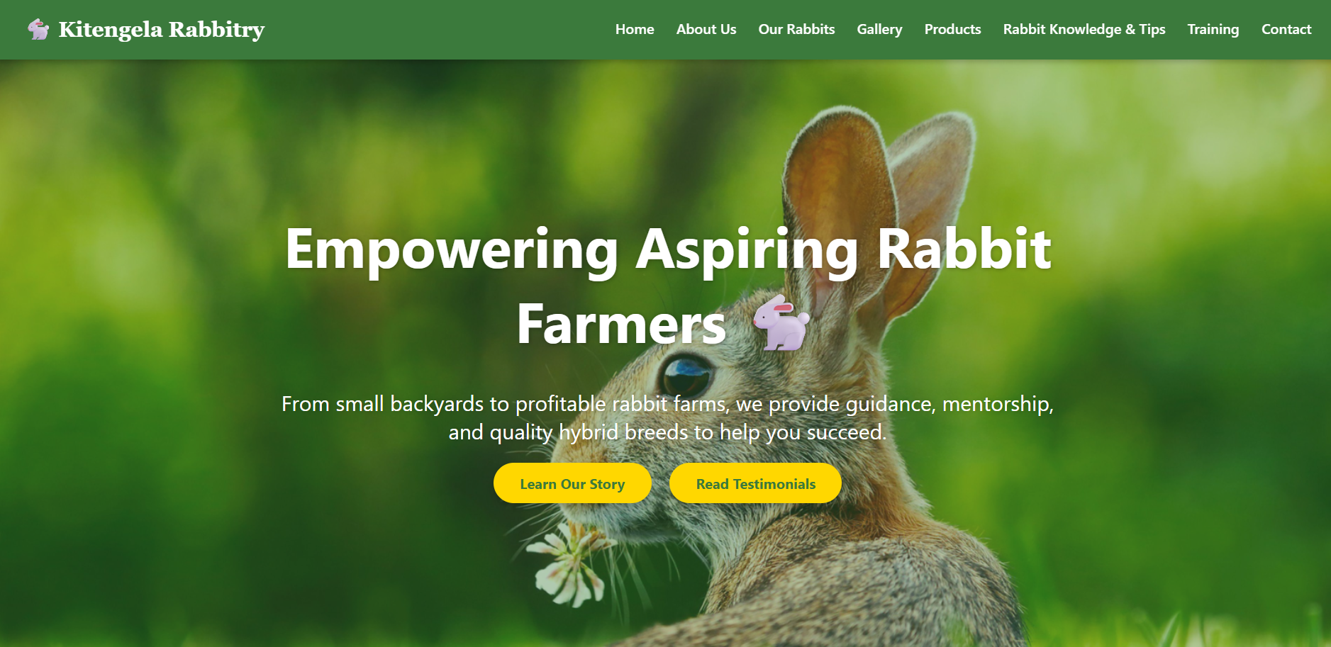 Rabbit Farm Website